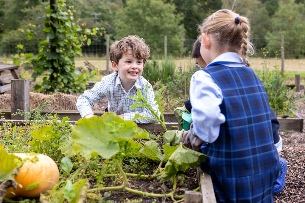 Three Horris Hill pupils work in the Kitchen Garden together